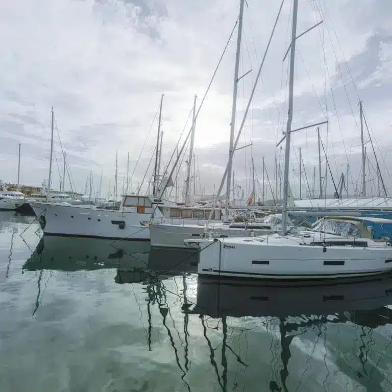 A group of sailboats docked in a marina under purchase charter.